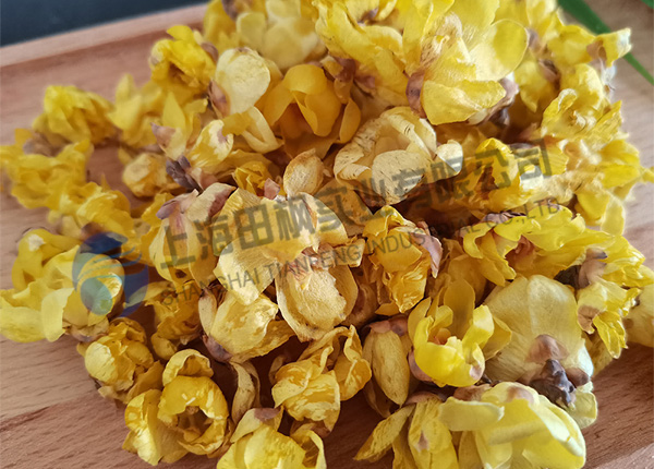 臘梅花凍干，鮮花冷凍干燥機