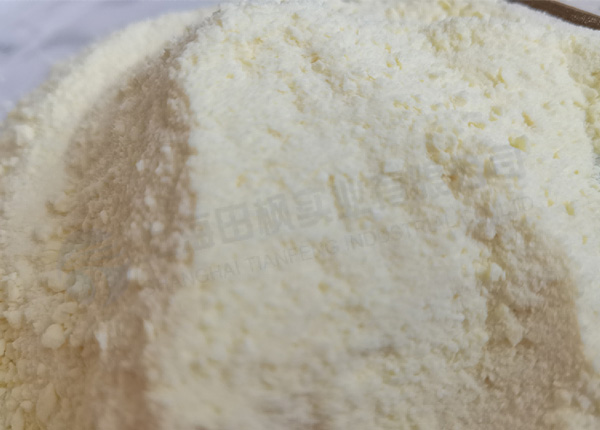 駝奶凍干，食品凍干機(jī)應(yīng)用于奶粉真空冷凍干燥試驗