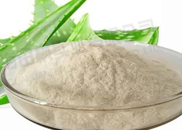 蘆薈凍干，凍干粉真空冷凍干燥機(jī)應(yīng)用于蘆薈凍干