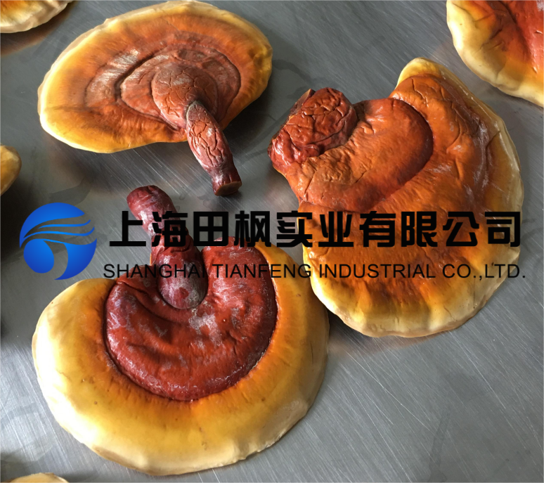 圖片 1.png